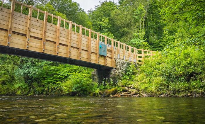 Bridge in Afan Forest Park